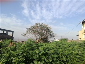653 m² Land available in Stanger Manor