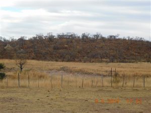 10.6 ha Farm in Onderstepoort