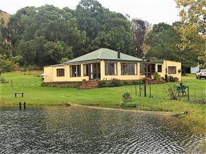 313 ha Farm in Dullstroom