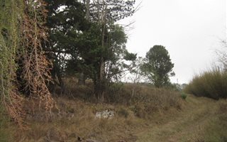8000 m² Land available in Everton