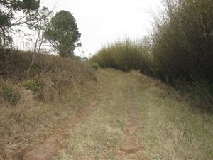 8000 m² Land available in Everton