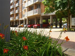 1 Bed Apartment in Hillcrest
