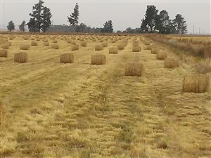91 ha Farm in Bronkhorstspruit