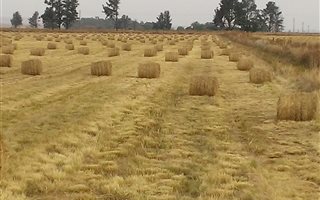 91 ha Farm in Bronkhorstspruit
