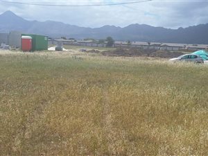 502 m² Land available in Fairview Golf Estate
