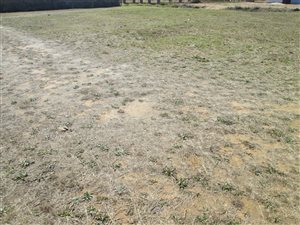 999 m² Land available in Morelig