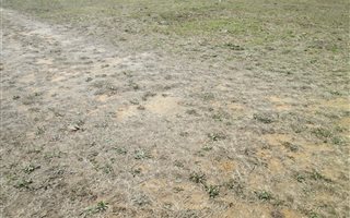 999 m² Land available in Morelig