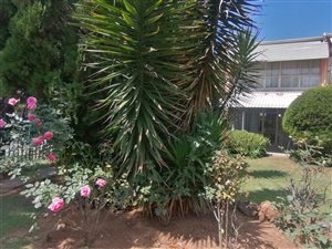 2 Bed Apartment in Alberante