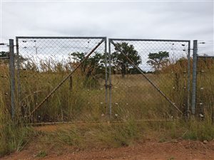 22 ha Farm in Dinokeng