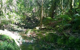 4.7 ha Land available in Wilderness Heights