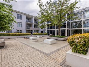 Studio Apartment in Stellenbosch Central