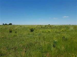 16.4 ha Smallholding in Dullstroom
