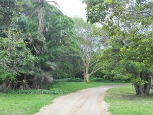 18 ha Farm in Umzumbe