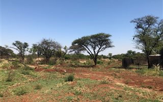 8.6 ha Farm in Derdepoort
