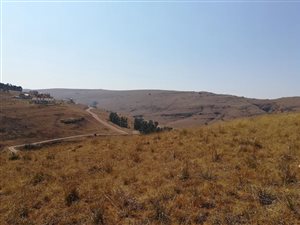 1027 m² Land available in Dullstroom