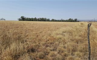 5.5 ha Smallholding in Rooiwal