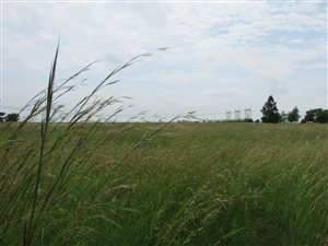 2.3 ha Land available in Glendonald AH