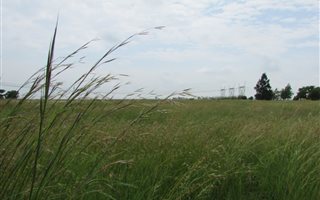 2.3 ha Land available in Glendonald AH