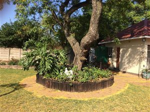 1 Bed Garden Cottage in Rynfield