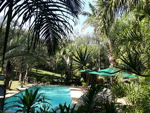 6 Bed House in St Lucia