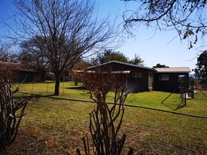 1 ha Farm in Kameelfontein and surrounds