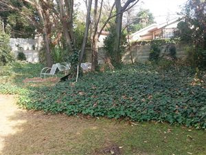 997 m² Land available in Victory Park