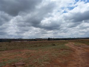 21 m² Farm in Middelburg Central