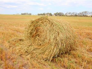 136 ha Farm in Mossel Bay Central