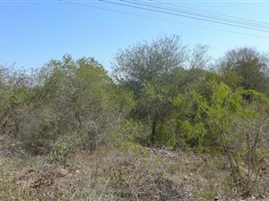 1487 m² Land available in Komatipoort