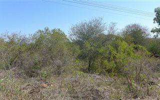 1487 m² Land available in Komatipoort