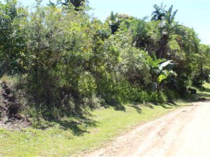 1023 m² Land available in Leisure Bay