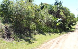 1023 m² Land available in Leisure Bay