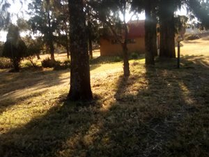Farm in President Park