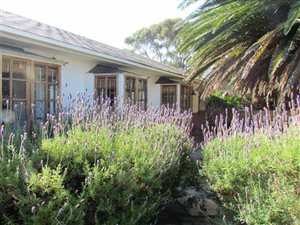 4 Bed House in Kommetjie