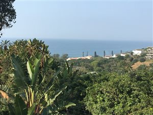 2 Bed Apartment in Salt Rock