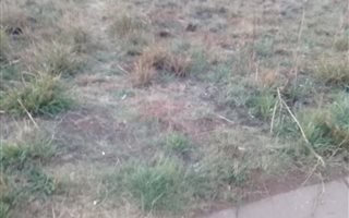 1109 m² Land available in Jameson Park