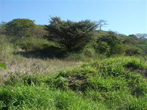 8 ha Land available in Desainagar