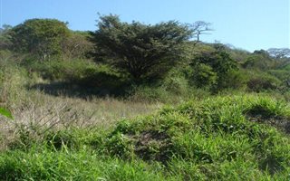 8 ha Land available in Desainagar