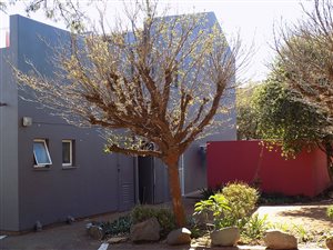 1 Bed Apartment in Langenhoven Park