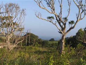 2.7 ha Smallholding in Hibberdene