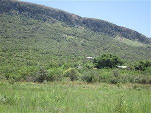 43 ha Farm in Skeerpoort
