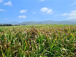129.6 ha Farm in Mossel Bay Central