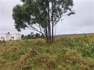 2901 m² Land available in Empangeni