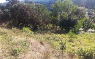 1027 m² Land available in Meedingsride