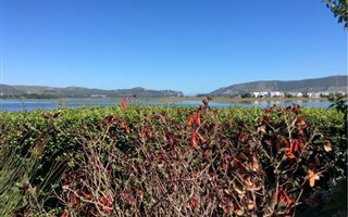 3 Bedroom Townhouse in Knysna Central