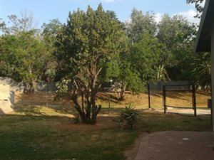1 Bed Garden Cottage in Randpark Ridge