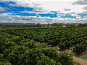 44.2 ha Farm in Kirkwood
