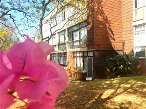 1 Bed Apartment in Clarendon