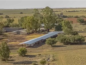 152.9 ha Farm in Ventersburg