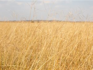 602 ha Farm in Ventersdorp